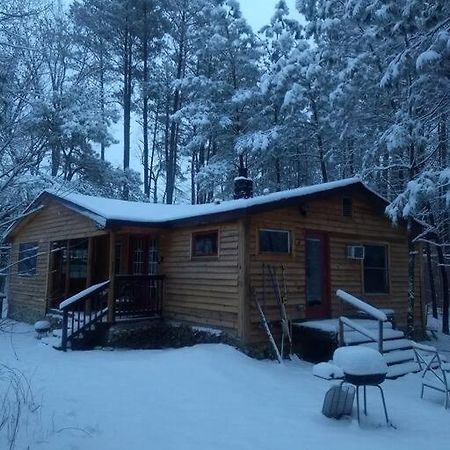 Rustic Quaint Cabin In The Woods--Pets Welcomed Dunnsville Buitenkant foto