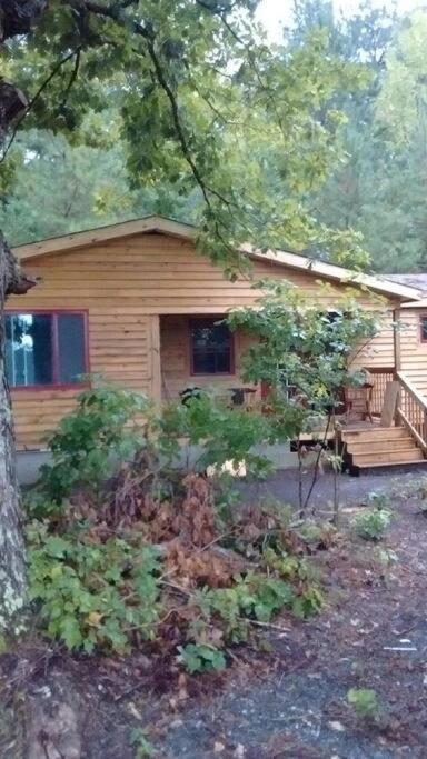 Rustic Quaint Cabin In The Woods--Pets Welcomed Dunnsville Buitenkant foto