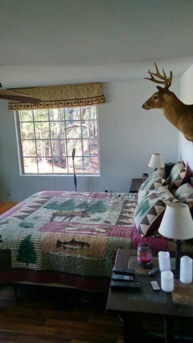 Rustic Quaint Cabin In The Woods--Pets Welcomed Dunnsville Buitenkant foto